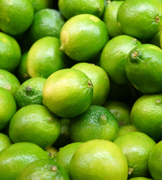 photo-produit-biolandes