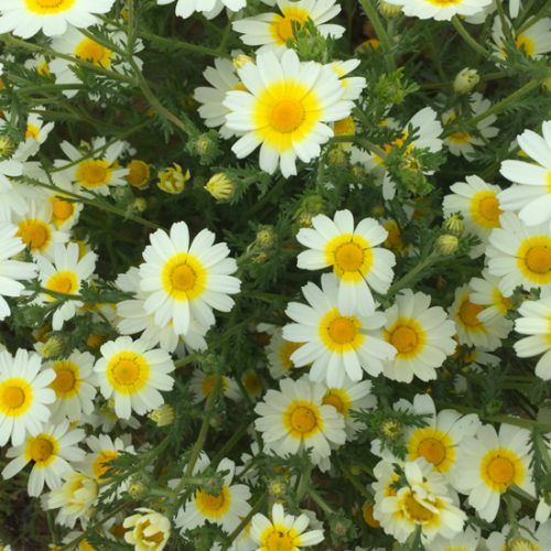 photo-produit-195